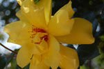 2009-05-24_16-04-46_DSC_1836.jpg