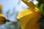 2009-05-24_16-05-02_DSC_1837.jpg