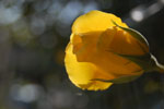 2009-05-24_16-05-17_DSC_1839.jpg