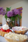 2009-05-24_16-13-46_DSC_1849.jpg