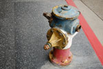 2009-05-30_14-44-26_DSC_1883.jpg