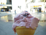 2009-05-30_17-06-17_IMGP6477.jpg
