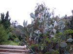 2009-05-31_19-18-48_IMGP6525.jpg