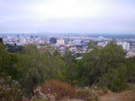 2009-05-31_19-24-04_IMGP6527.jpg