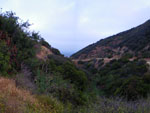 2009-05-31_19-44-32_IMGP6561.jpg