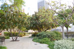 2009-06-01_19-10-00_DSC_2144.jpg