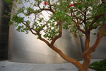 2009-06-01_19-10-28_DSC_2147.jpg