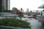 2009-06-01_19-33-41_DSC_2278.jpg