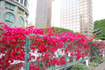 2009-06-01_19-33-49_DSC_2280.jpg