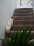 2009-06-05_20-17-29_DSC06743.jpg