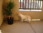 Photos