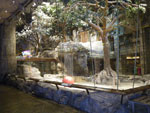 2009-06-06_02-32-19_IMGP6757.jpg