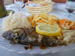 2009-06-11_18-37-29_IMGP6983.jpg