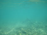 2009-06-14_16-07-50_IMGP7121.jpg