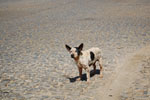 2009-06-15_14-58-25_DSC_2915.jpg