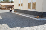 2009-06-15_15-14-02_DSC_2937.jpg