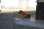 2009-06-15_15-14-33_DSC_2941.jpg