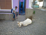 2009-06-17_17-15-53_IMGP7350.jpg