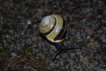 2009-06-21_18-46-15_DSC_3258.jpg