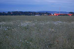 2009-06-21_18-49-01_DSC_3270.jpg