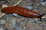 2009-06-21_18-57-11_DSC_3306.jpg