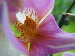 2009-06-25_14-20-10_IMGP7614.jpg