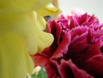 2009-06-25_14-29-00_IMGP7622.jpg