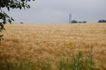 2009-06-25_15-39-34_DSC_3331.jpg