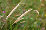 2009-06-25_15-48-20_DSC_3344.jpg