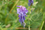 2009-06-25_15-49-57_DSC_3352.jpg