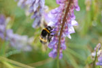 2009-06-25_15-50-36_DSC_3359.jpg