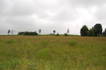 2009-06-25_15-57-37_DSC_3394.jpg