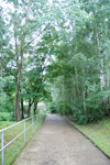 2009-06-25_16-01-43_DSC_3400.jpg