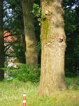 2009-06-26_18-30-25_IMGP7632.jpg