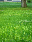 2009-06-26_18-33-04_IMGP7638.jpg