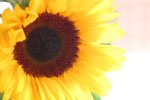 2009-06-27_16-44-27_DSC_3426.jpg