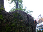 2009-06-27_19-19-14_IMGP7648.jpg
