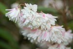 2009-06-28_16-46-13_DSC_3502.jpg