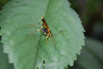 2009-06-28_16-51-25_DSC_3520.jpg