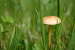 2009-06-28_17-11-20_DSC_3534.jpg