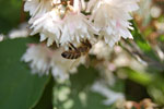2009-06-28_17-13-51_DSC_3552.jpg