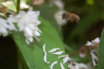 2009-06-28_17-13-56_DSC_3555.jpg