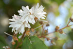 2009-06-28_17-14-23_DSC_3559.jpg