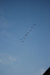 2009-06-28_20-47-24_DSC_3724.jpg