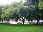 2009-06-29_19-04-07_IMGP7711.jpg