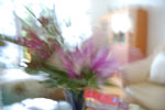 2009-07-01_16-39-55_DSC_3844.jpg
