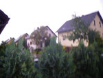 2009-07-01_18-15-24_IMGP7726.jpg