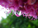 2009-07-02_16-28-52_IMGP7763.jpg