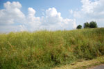 2009-07-03_16-21-57_DSC_3871.jpg