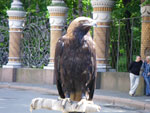 2009-07-06_13-23-36_IMGP7890.jpg